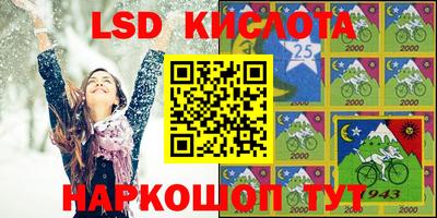 крисы Бийск