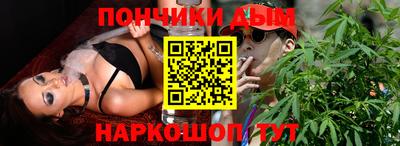 крисы Бийск
