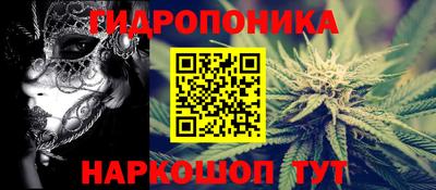 крисы Бийск
