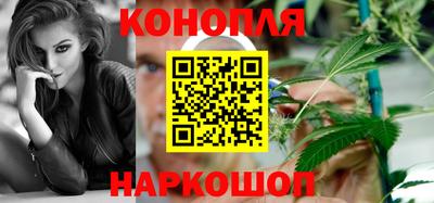 крисы Бийск