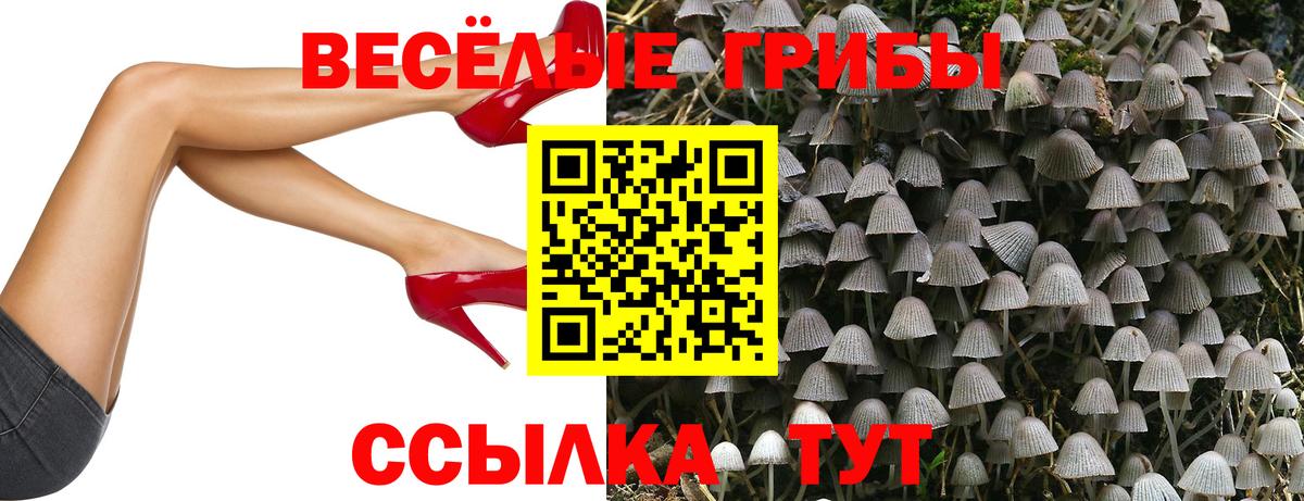 Псилоцибиновые грибы мухоморы  Вход с VPN  Галлюциногенные грибы Psilocybine cubensis  Камышлов 