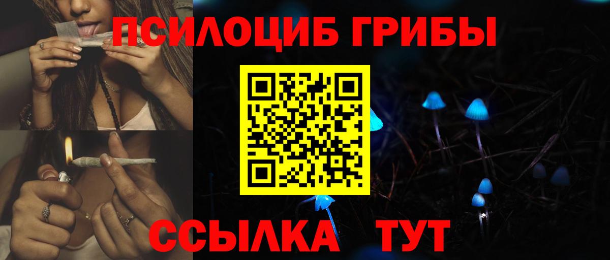 Псилоцибиновые грибы ЛСД Камышлов